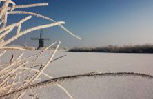 broekmolen in de winter.jpg